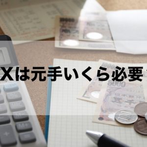 FXの元手はいくら必要？